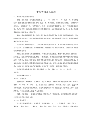 番茄种植及其管理