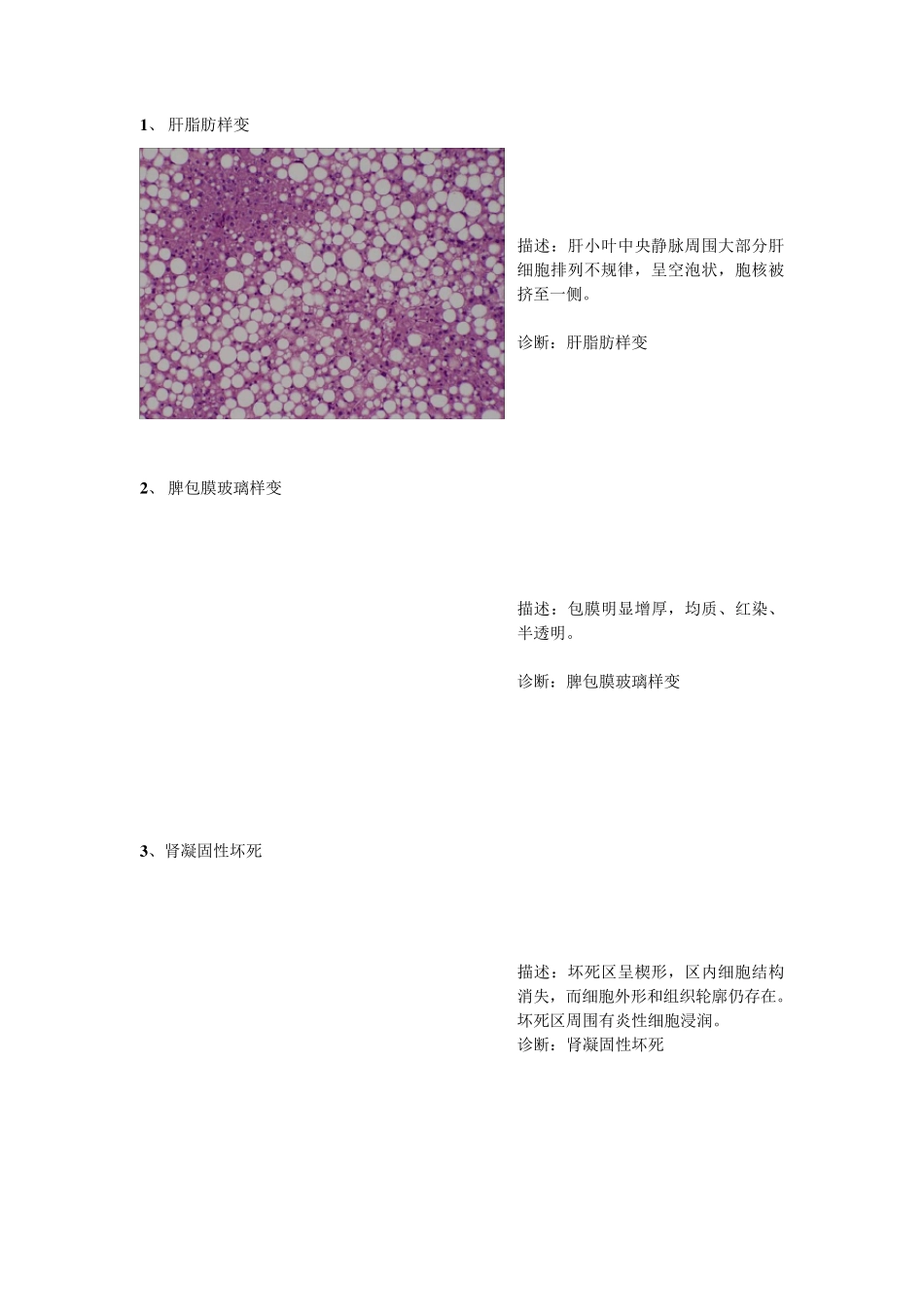 病理切片整理_第1页