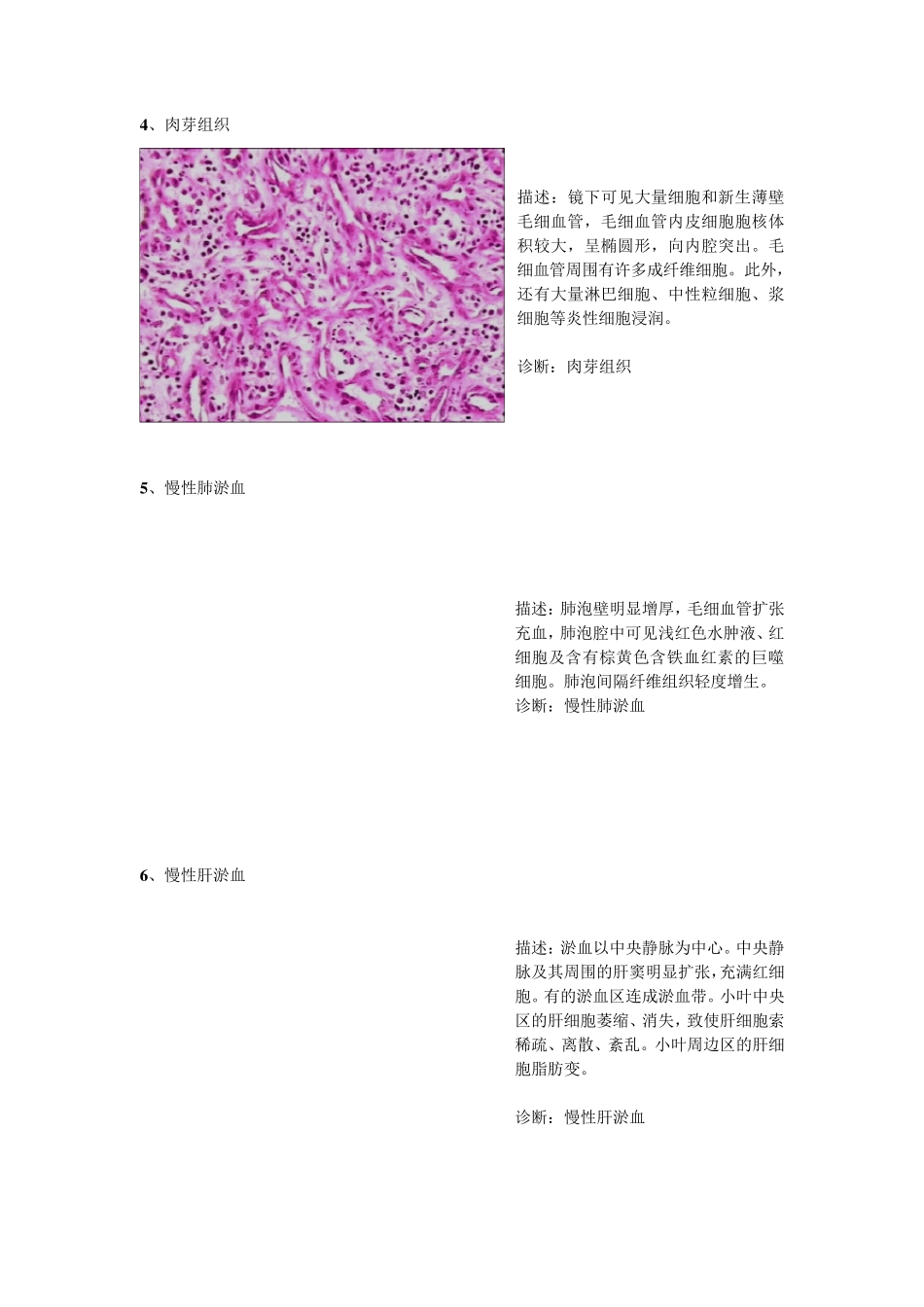 病理切片整理_第2页