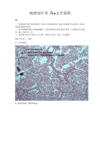 病理切片考图+文字说明