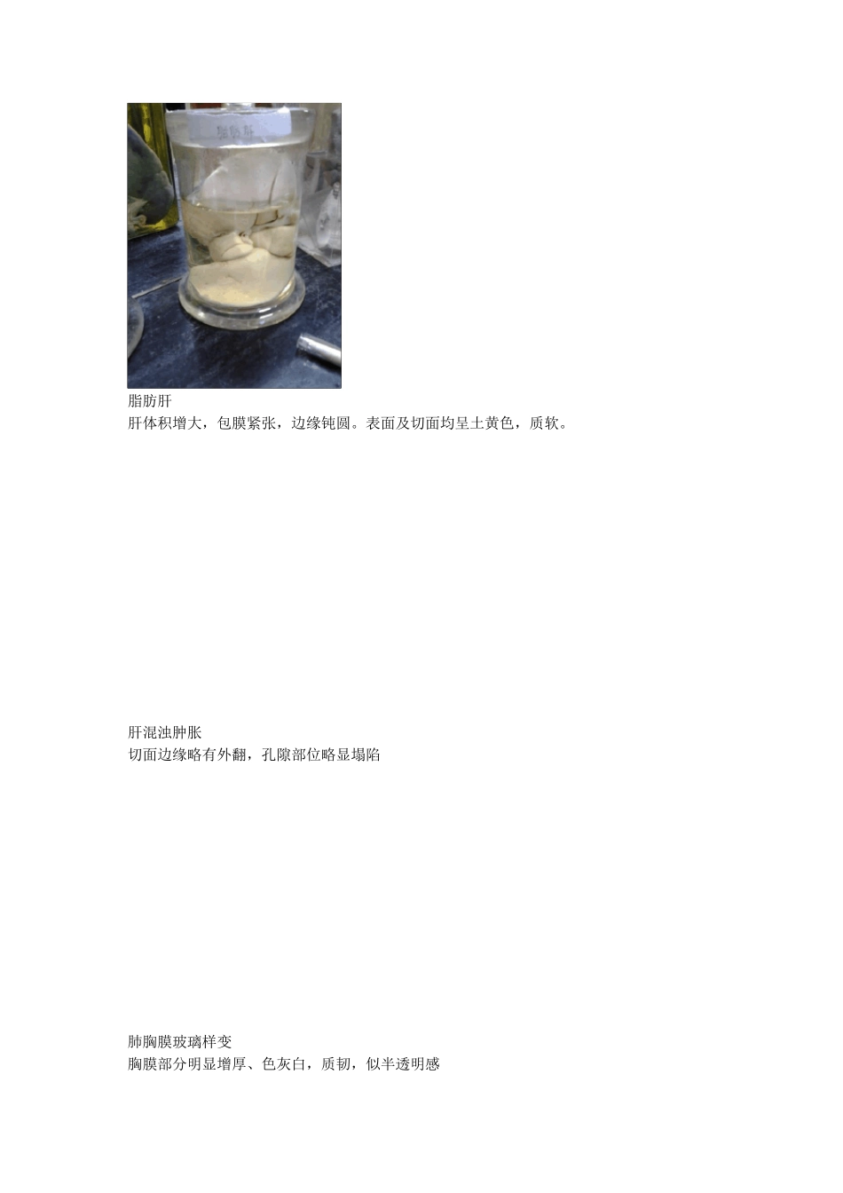 病理学实验大体标本图片和描述_第2页