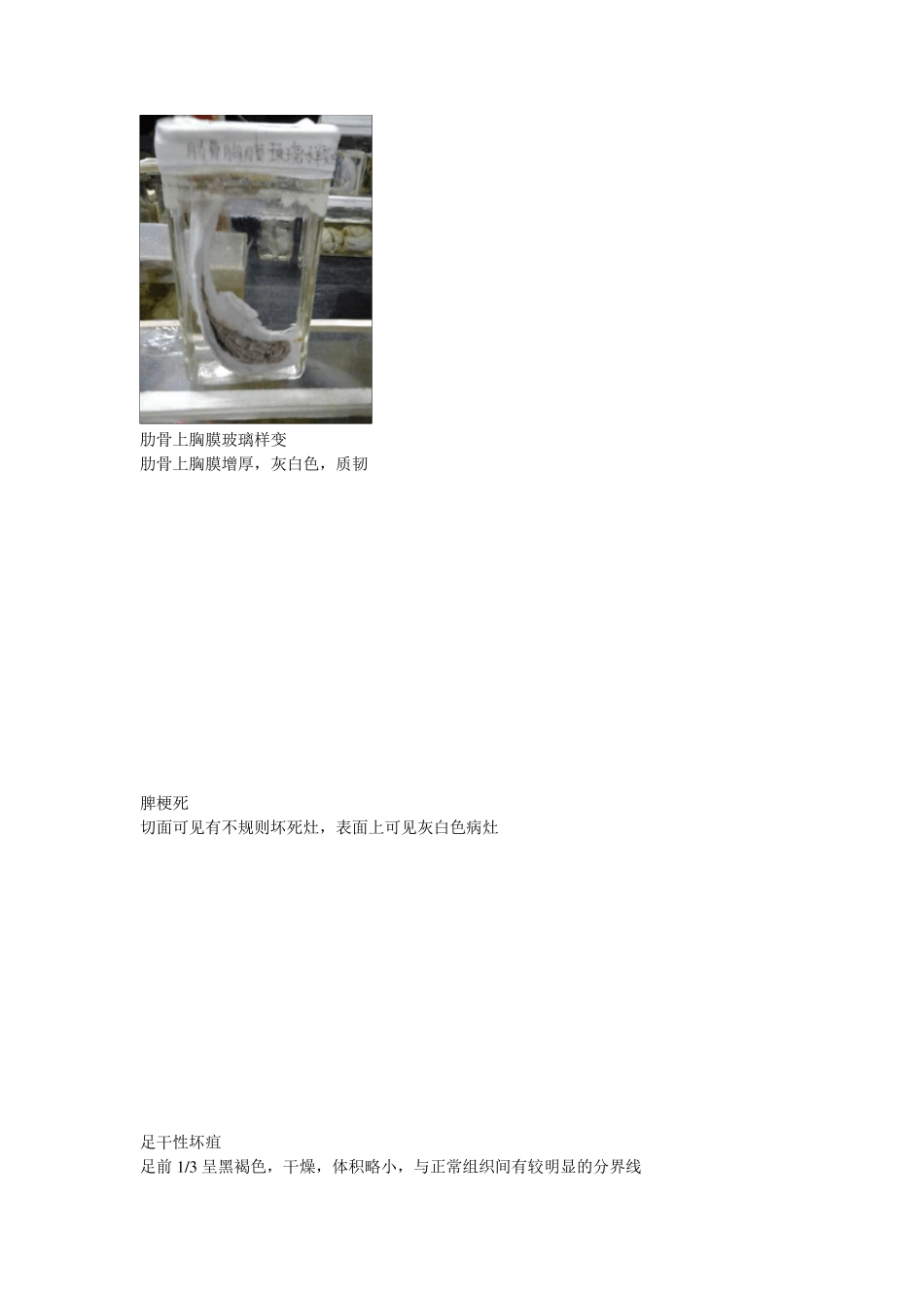 病理学实验大体标本图片和描述_第3页