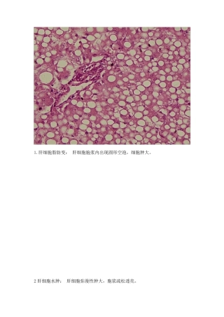 病理学实验考试切片
