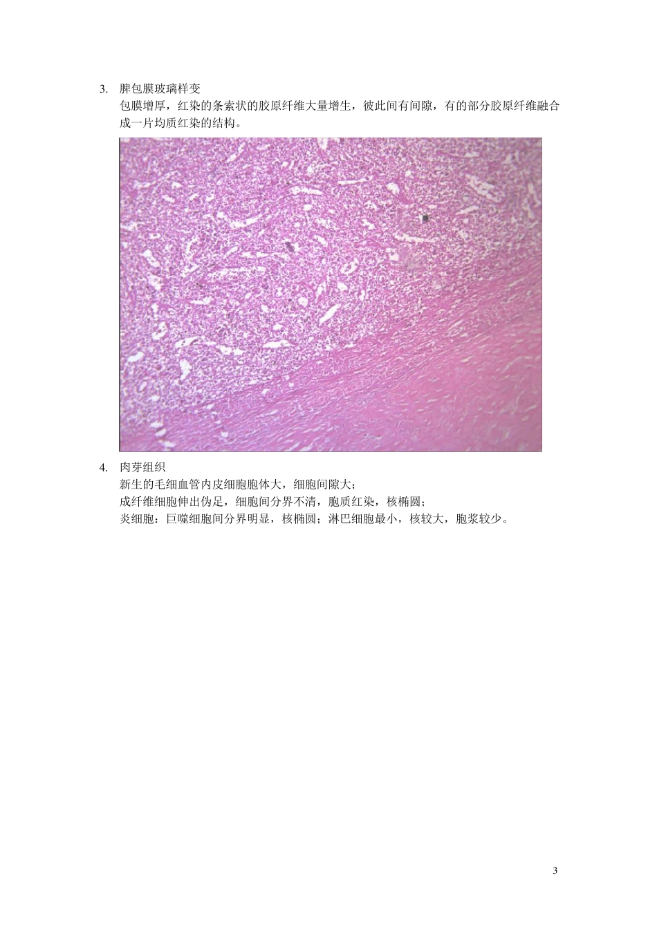 病理学镜下切片_第3页