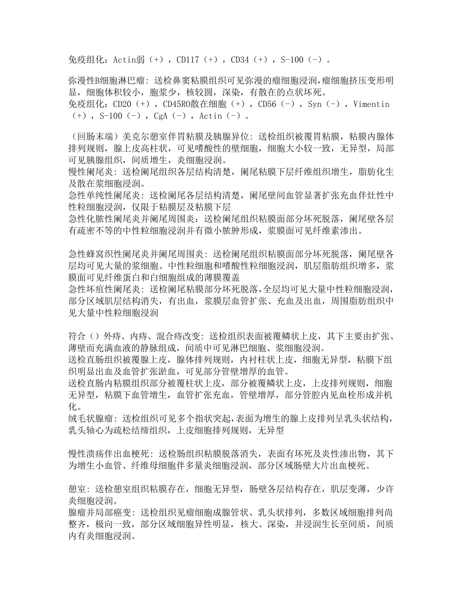 病理疾病诊断镜下描述_第2页