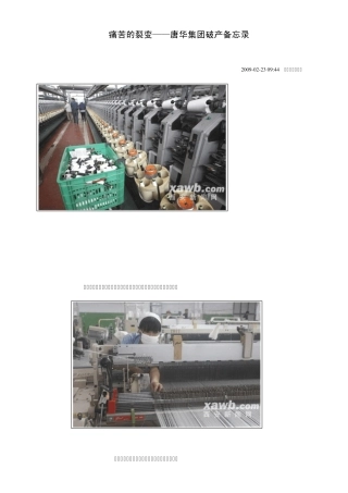 痛苦的裂变——唐华集团破产备忘录