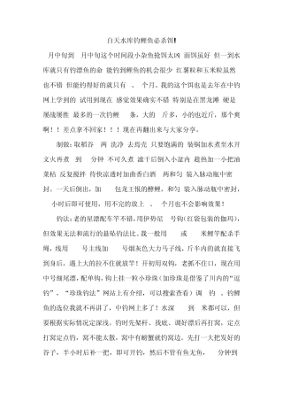 白天水库钓鲤鱼必杀饵!