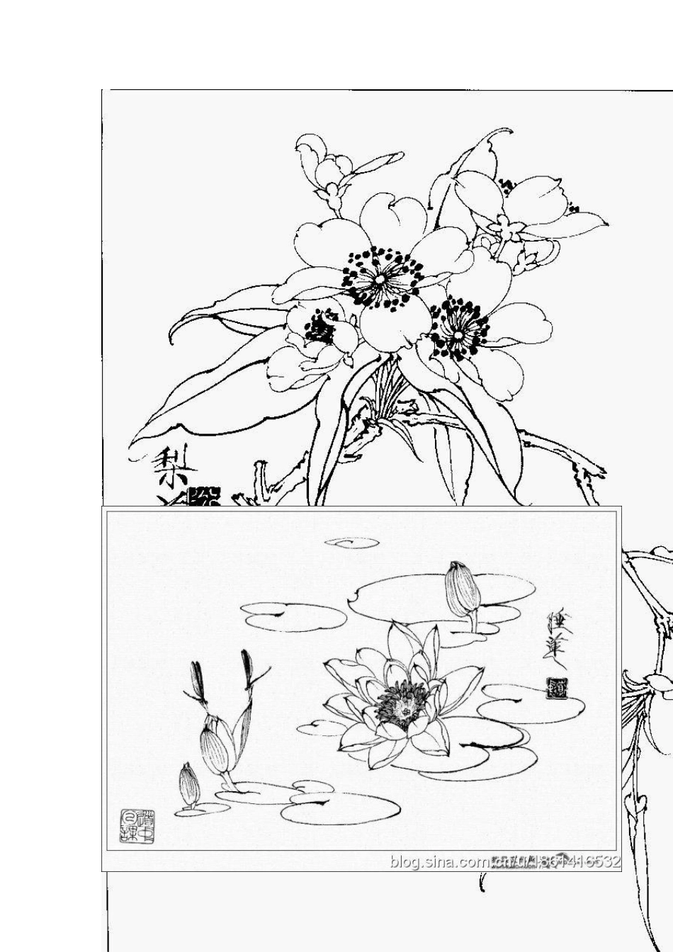 白描花鸟图案_第1页