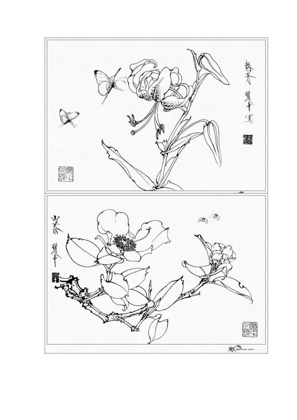 白描花鸟图案_第2页