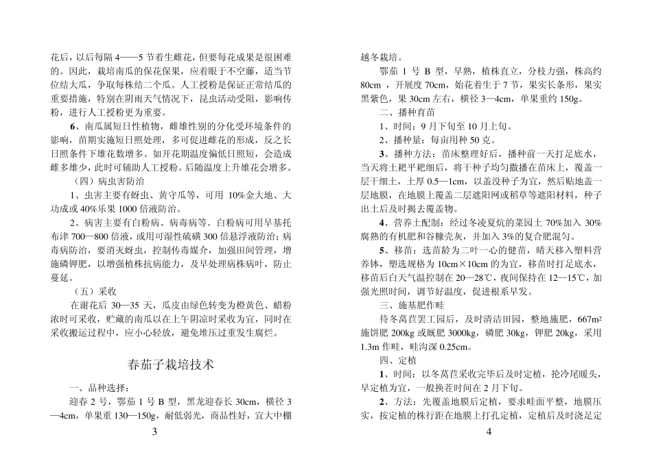 白沙蜜本南瓜品种介绍及高产栽培技术_第2页