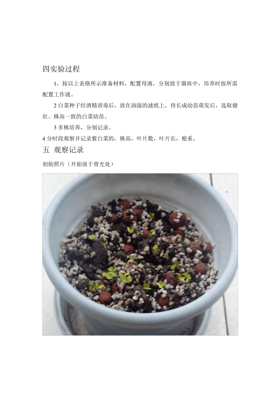 白菜的无土栽培实验报告_第3页