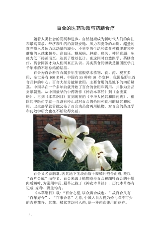 百合的医药功效与药膳食疗