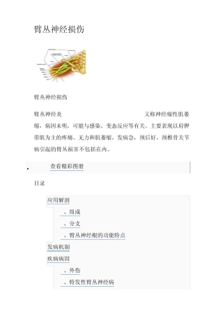 百度百科臂丛神经损伤