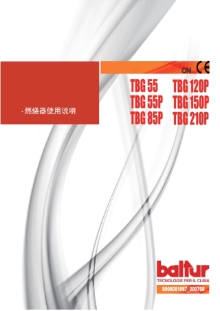 百得燃烧器TBG85P3.0