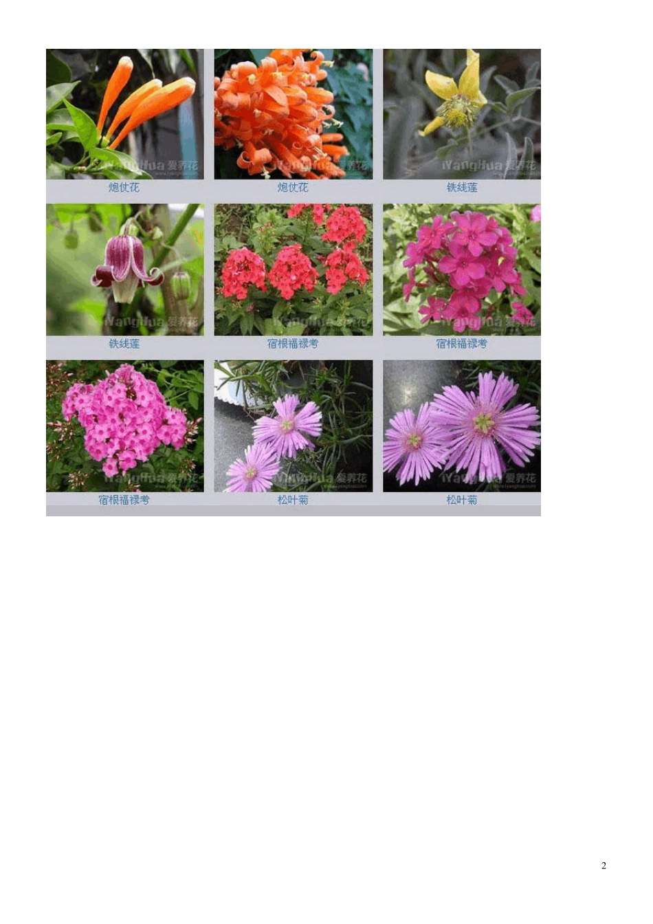 百花图谱精美图片_第2页