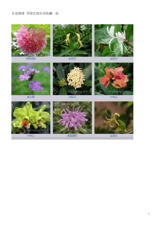 百花图谱精美图片