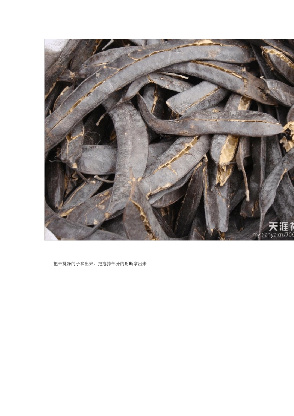 皂角洗发水制作详解_第2页