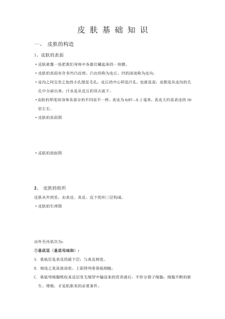 皮肤基础知识