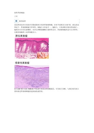 皮肤性病学课程010