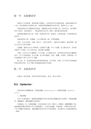 皮肤病的种类及治疗