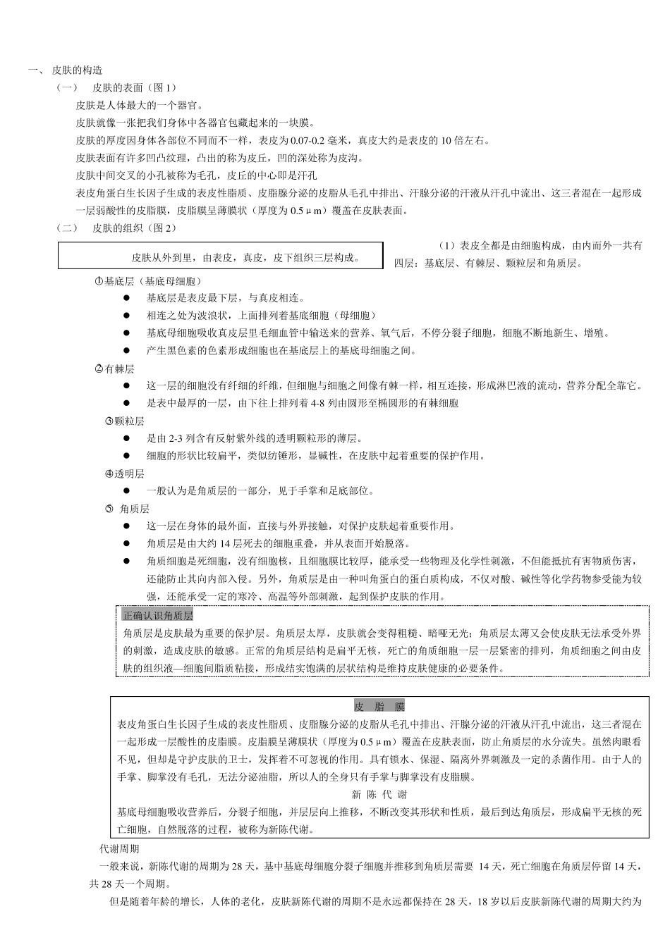 皮肤的基础知识_第1页