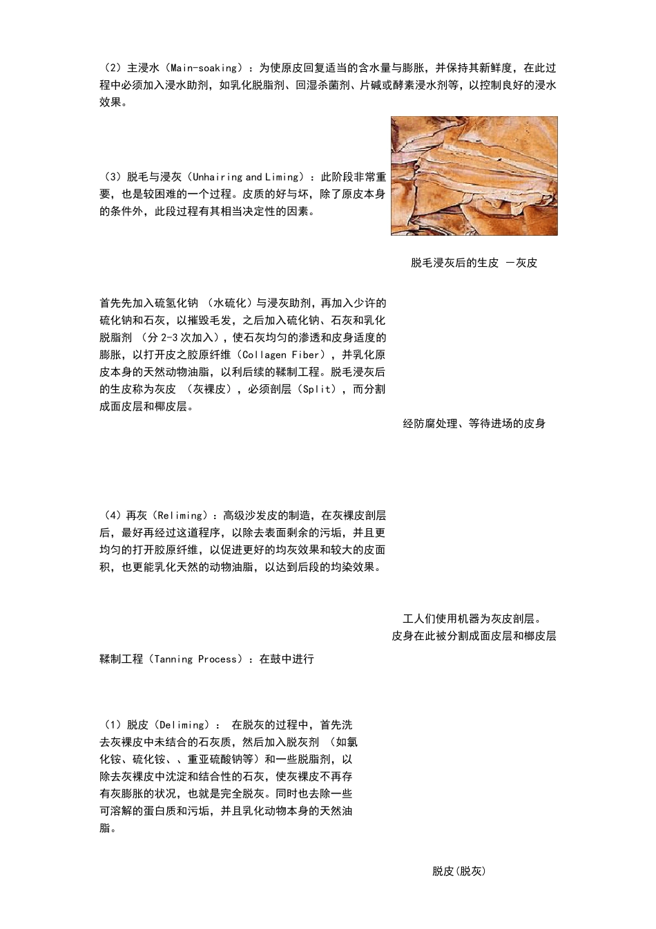 皮革制作过程_第2页