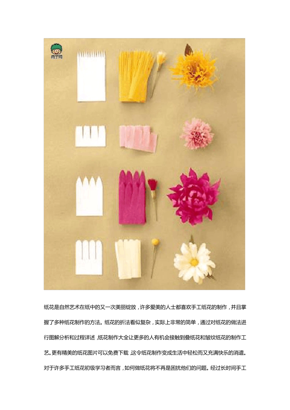 皱纹纸简单纸花制作_第2页