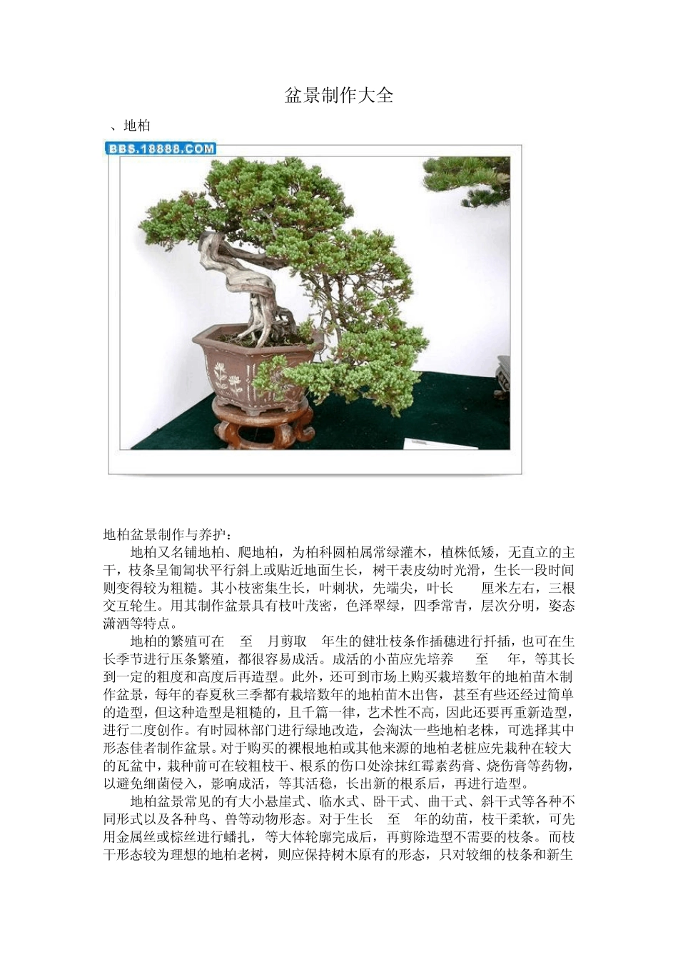 盆景技术大全_第1页