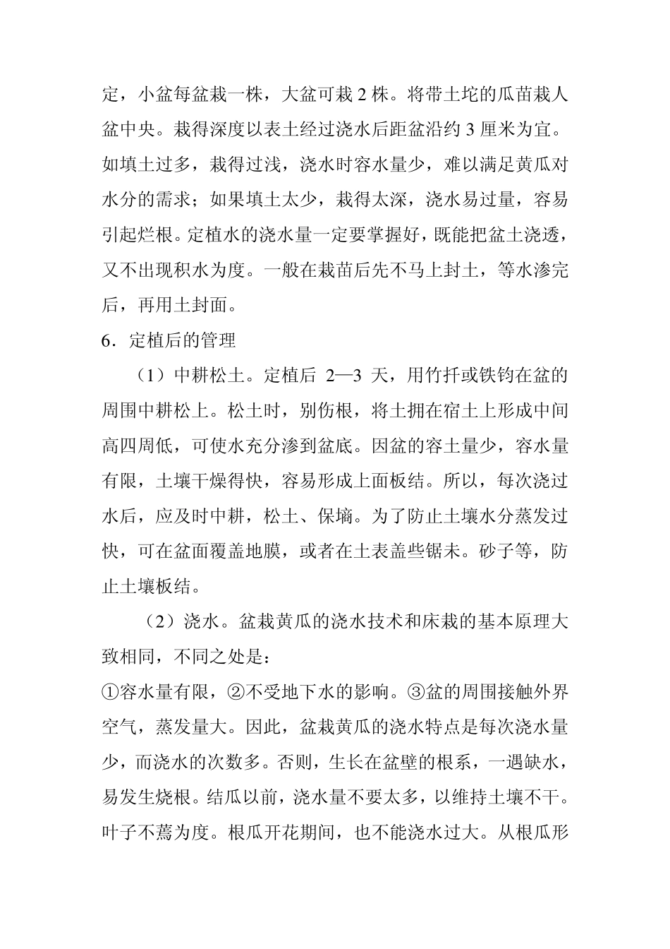 盆栽黄瓜种植方法_第3页