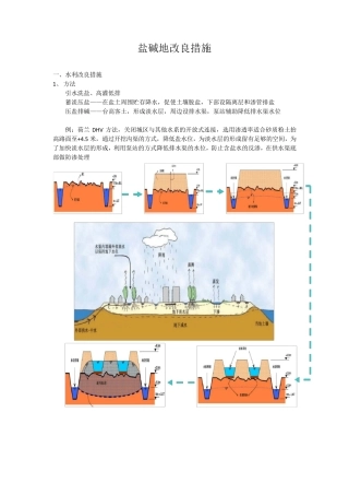 盐碱地改良措施