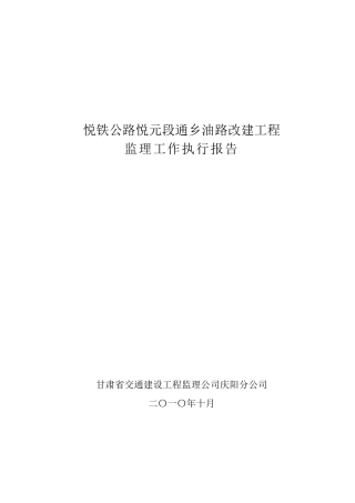 监理工作执行报告