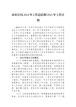 市审计局2024年工作总结和2025年工作计划 【资深秘书】