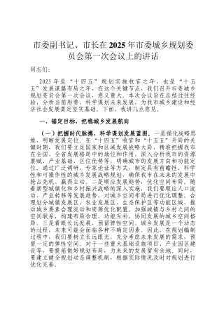 市委副书记、市长在2025年市委城乡规划委员会第一次会议上的讲话
