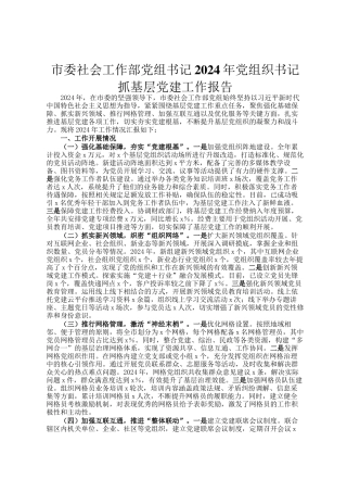 市委社会工作部党组书记2024年党组织书记抓基层党建工作报告