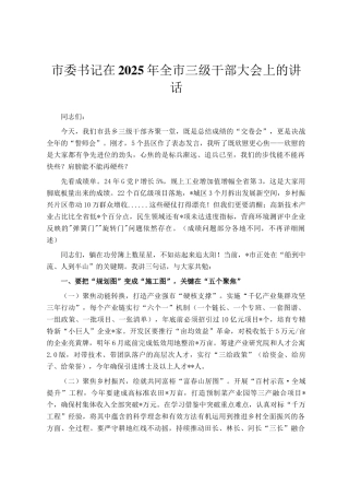 市委书记在2025年全市三级干部大会上的讲话