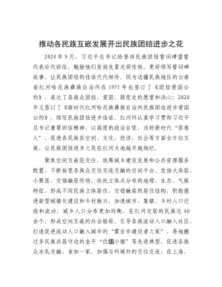 推动各民族互嵌发展开出民族团结进步之花【资深秘书】