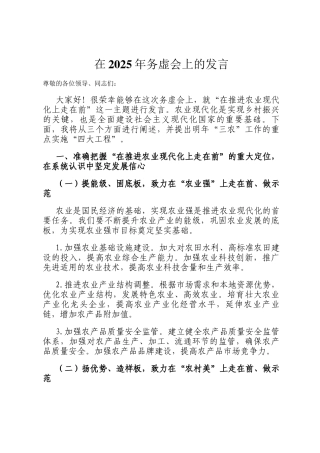 在2025年务虚会上的发言