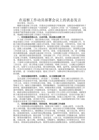 在巡察工作动员部署会议上的表态发言