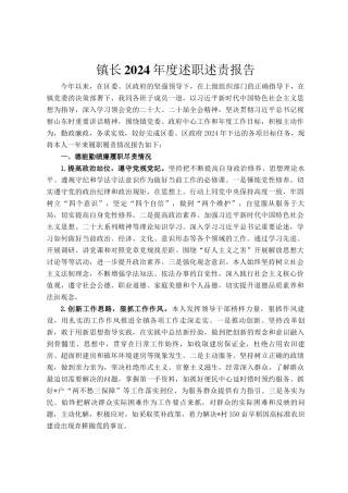 镇长2024年度述职述责报告