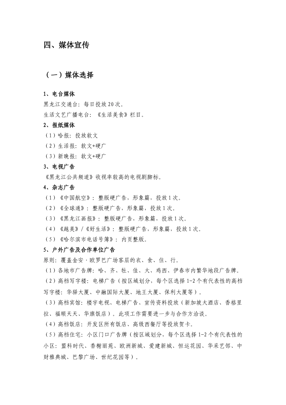 开业阶段营销计划金安·欧罗巴广场_第3页