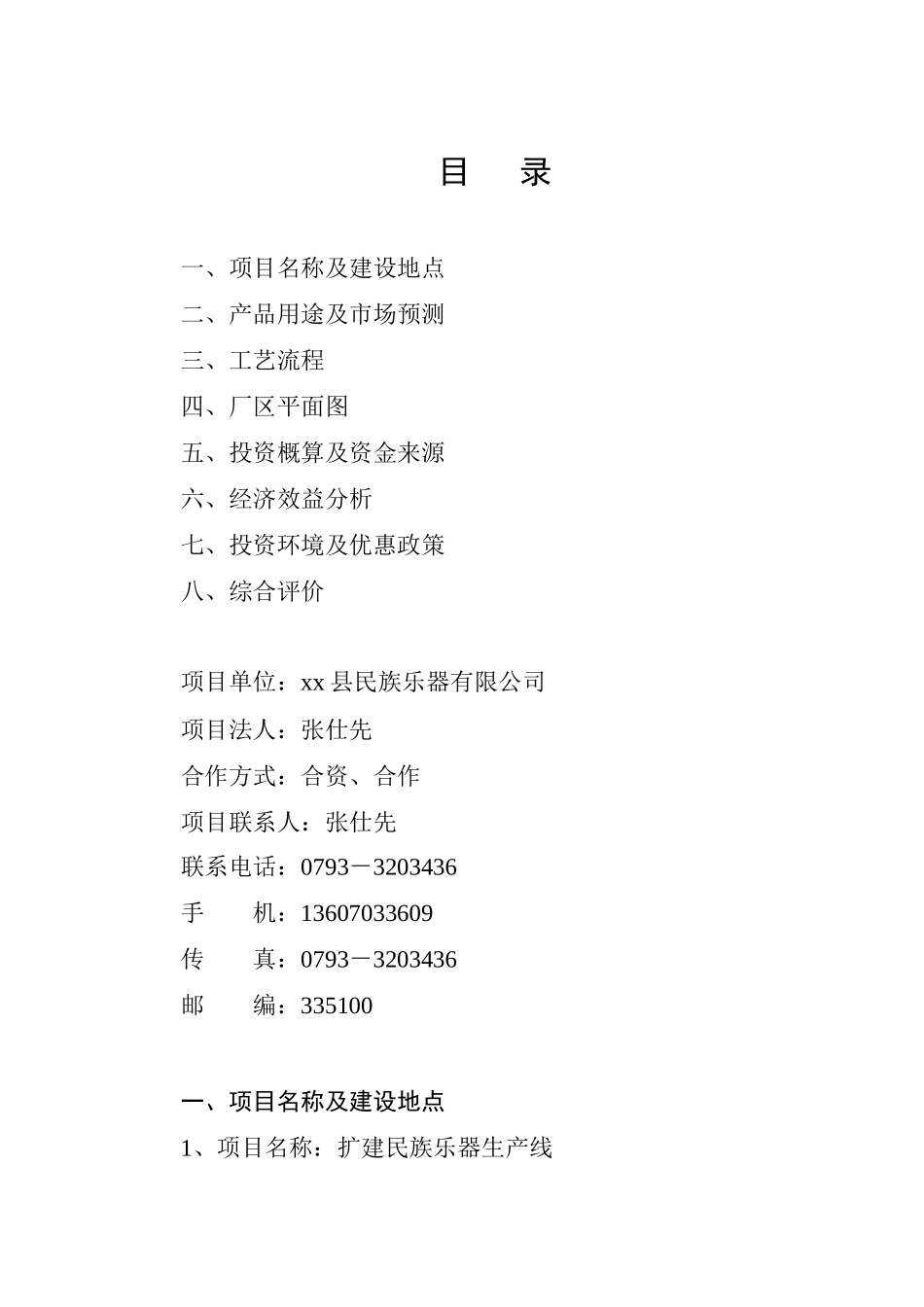 扩建民族乐器生产初步可行性研究报告_第1页