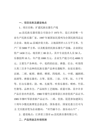 扩建民族乐器生产线可行性报告