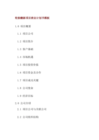 轮胎翻新项目商业计划书模板