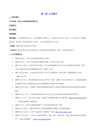 某著名咨询公司-河北九州-商业计划书