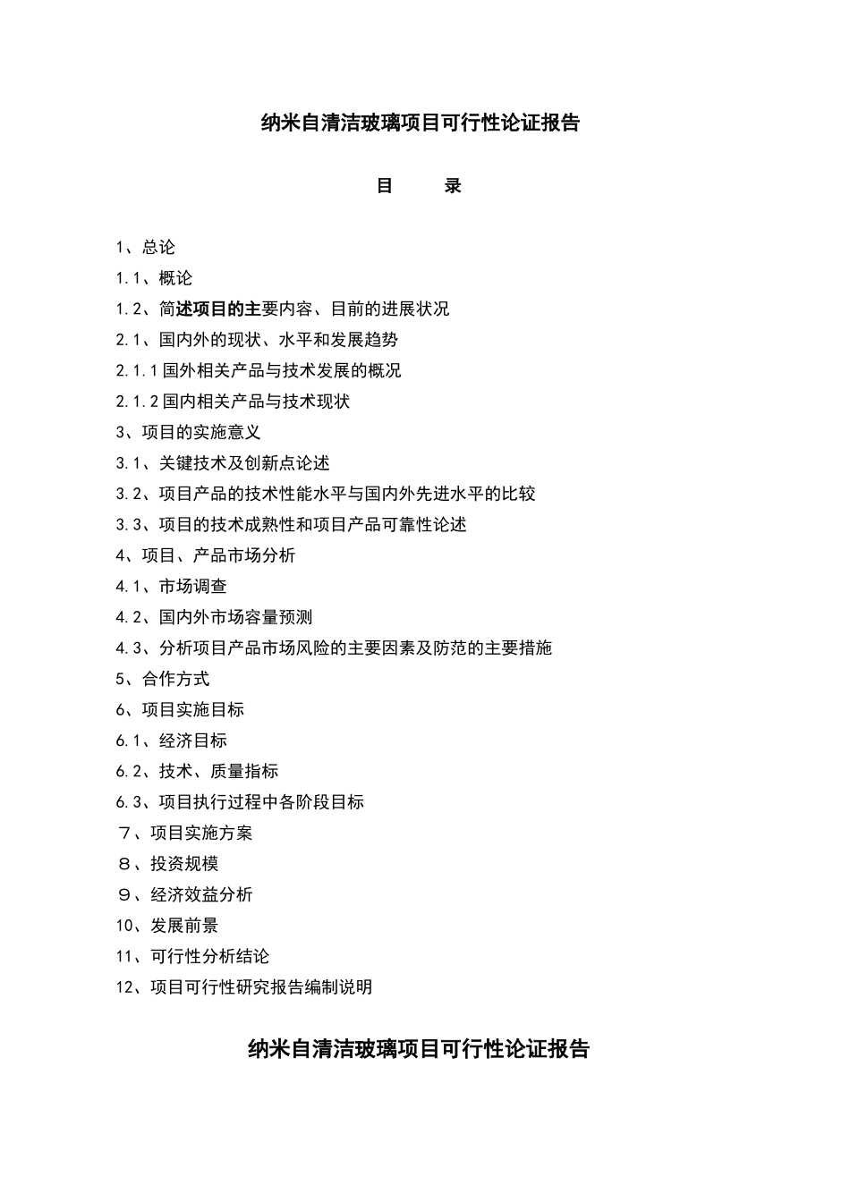 纳米自清洁玻璃项目可行性论证报告_第1页