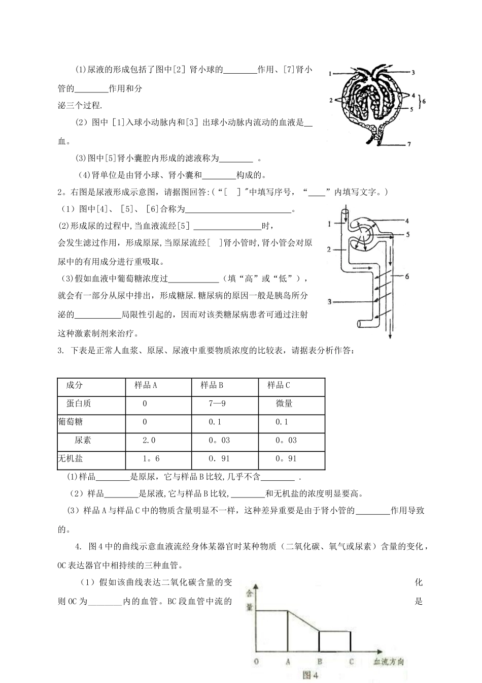 2025年人体内废物的排出知识点汇总及复习题_第3页