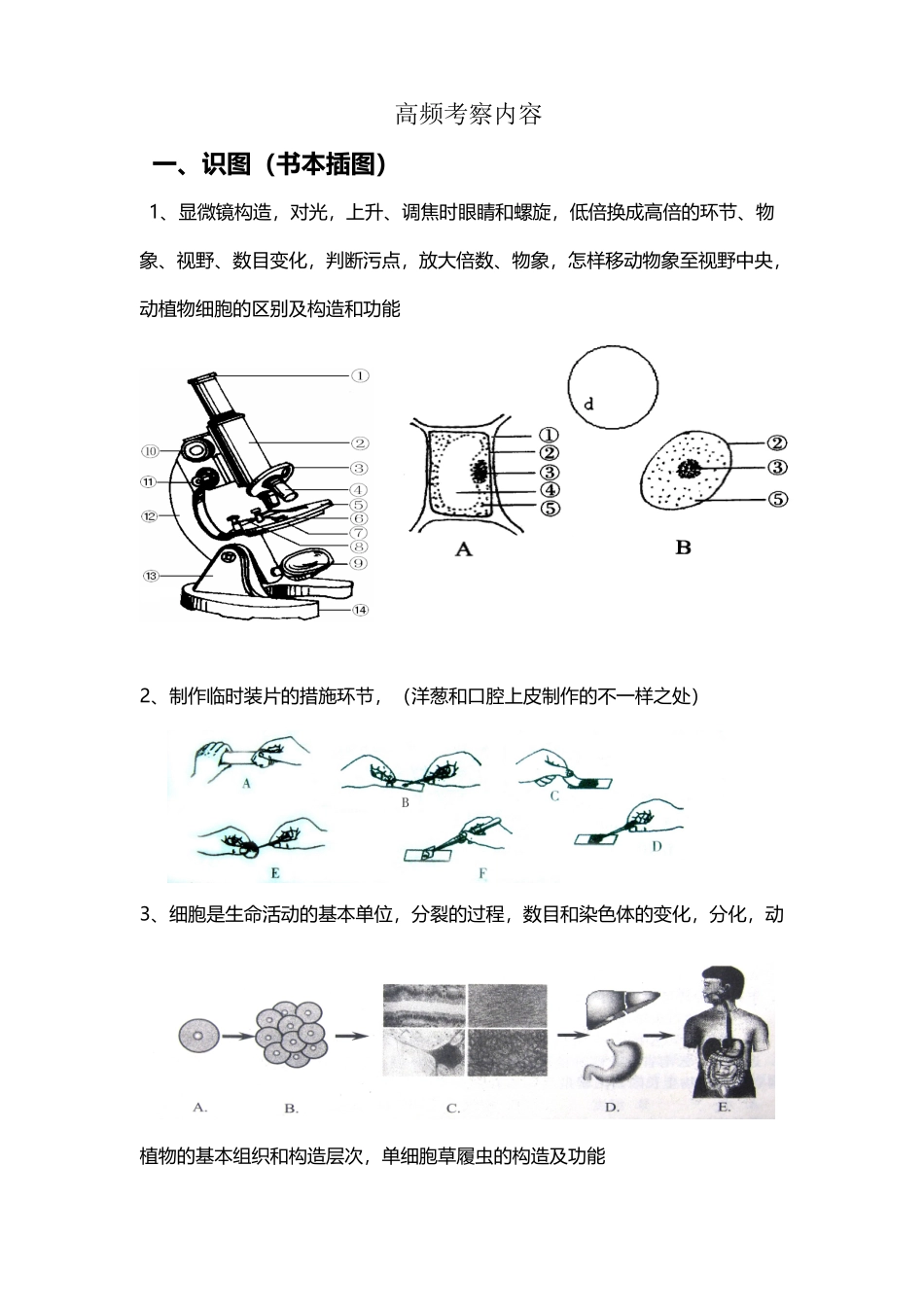 2025年中考生物高频考点结构图知识点_第2页