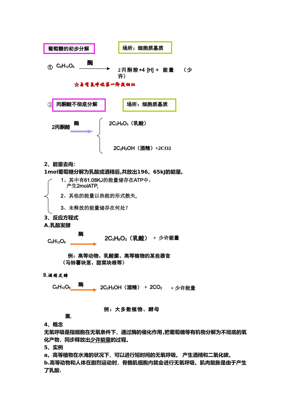 2025年光合作用和呼吸作用知识点总结_第3页