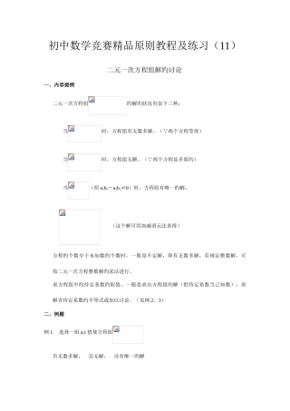 2025年初中数学竞赛标准教程及练习二元一次方程组解的讨论