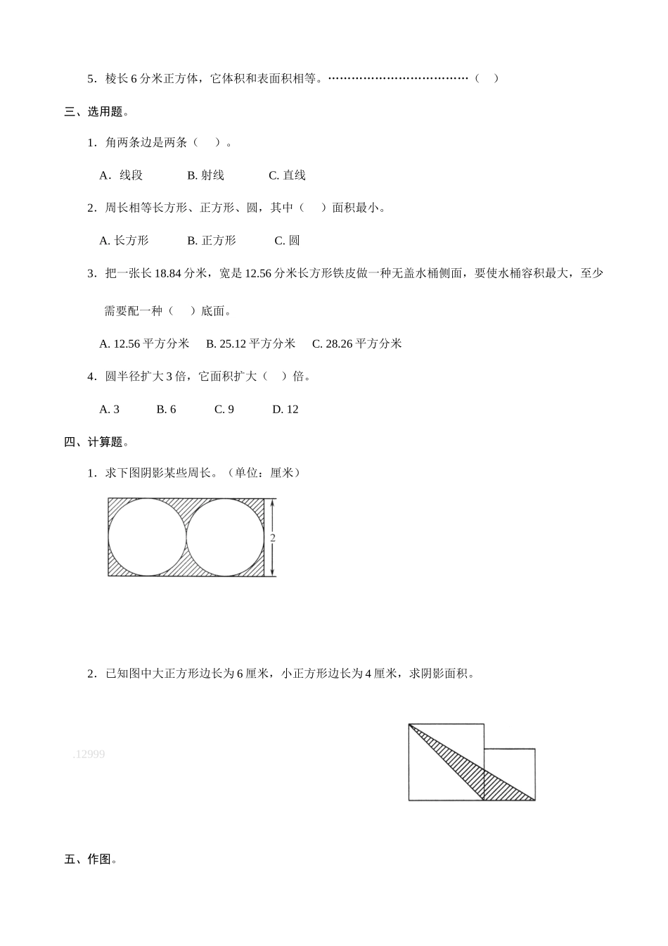2025年六年级小升初数学专项练习几何初步知识_第2页